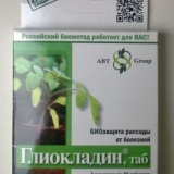 Gniloba korijena krastavaca u stakleniku: liječenje, fotografija, kako se nositi